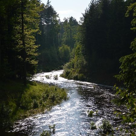 Studio 37 Třeboň الغرفة الصورة